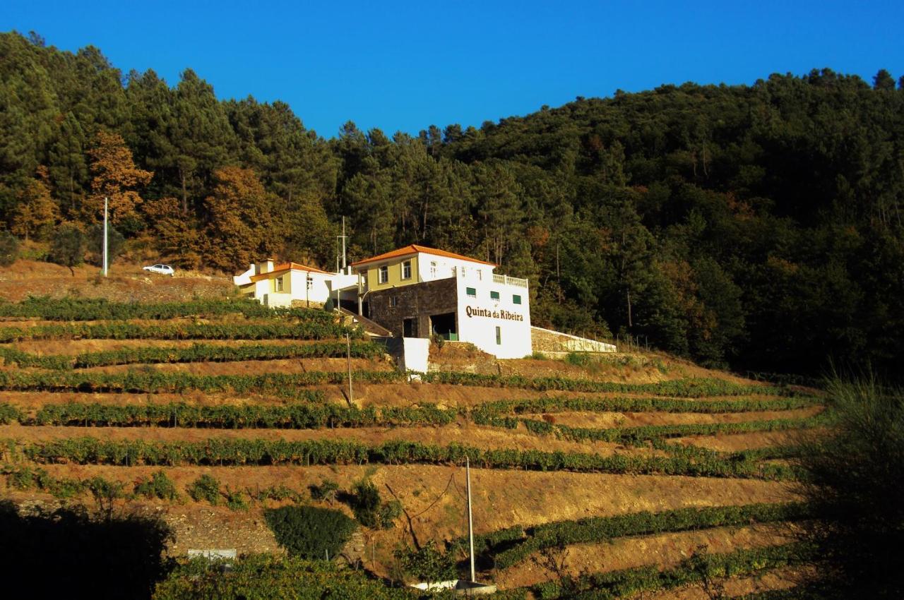 Quinta da Ribeira - Ferienwohnung