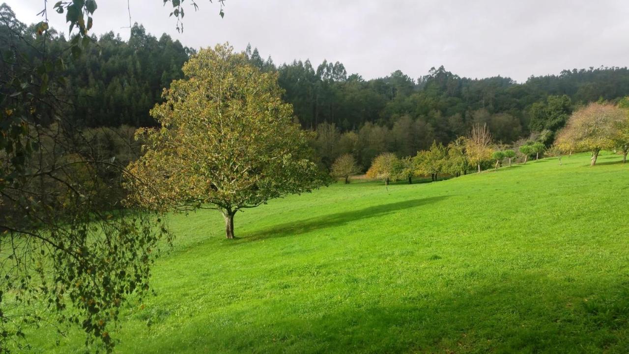 Casa Rural Graña da Acea - Bed and Breakfast