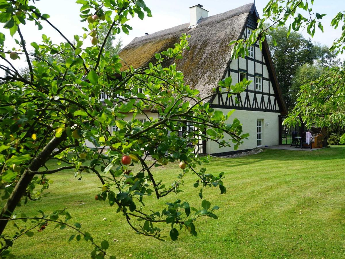 Haus Bela - B&B