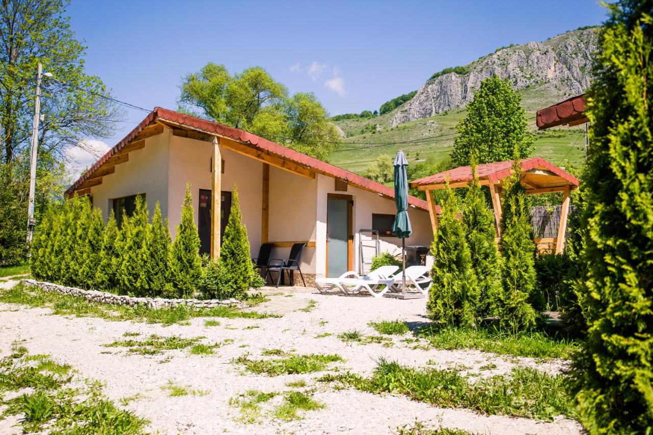Studiouri Valisoara - Bed and Breakfast