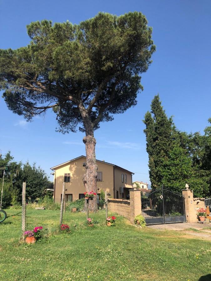 B&B Acquapendente - Podere Telesforo - Bed and Breakfast Acquapendente