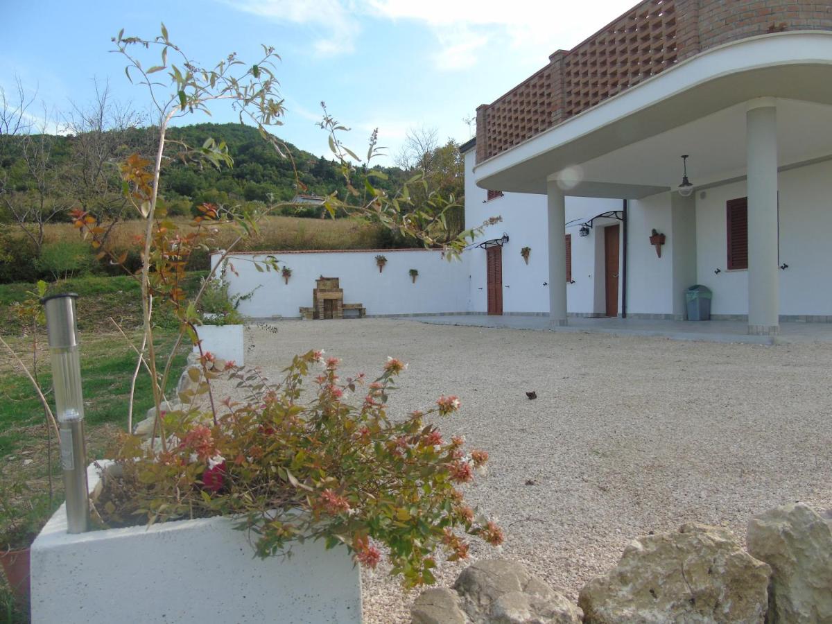 il pettirosso - B&B Altino