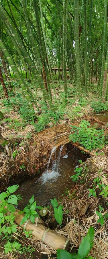 La Frontera - B&B Chinchiná
