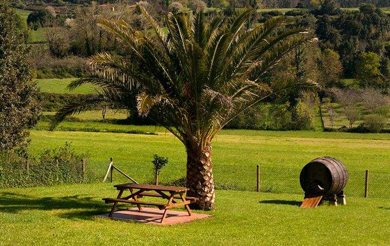 Apartamentos Vega Rodiles el campu - B&B