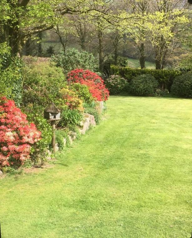 Zimmer mit Queensize-Bett und Gartenblick