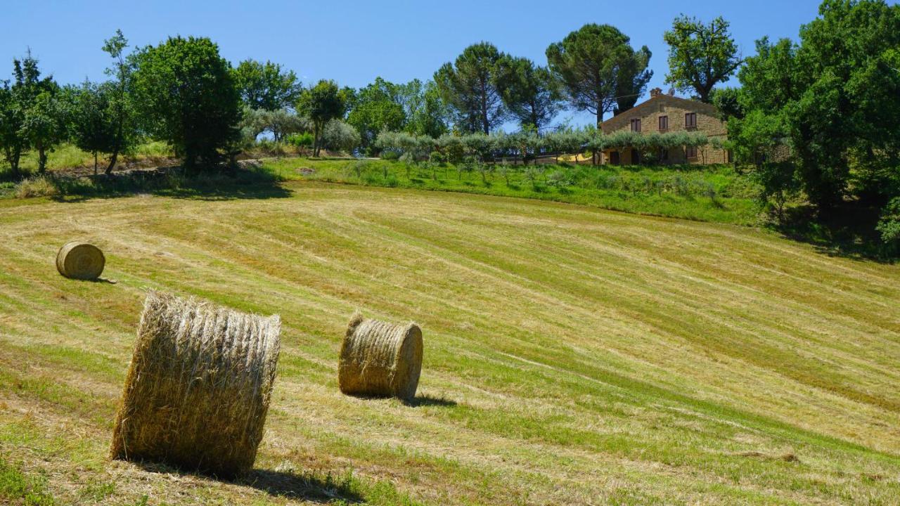 Agriturismo Pascucci - B&B