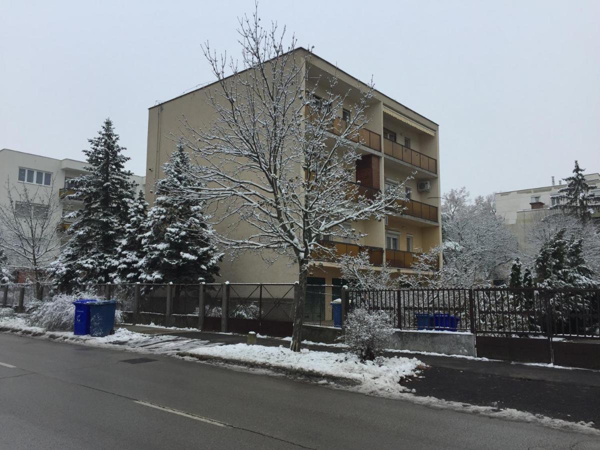 Next to university - B&B