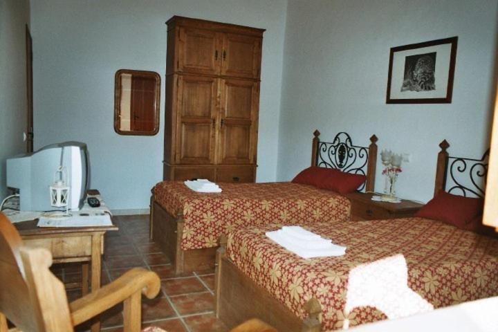 Camera Doppia con Letti Singoli