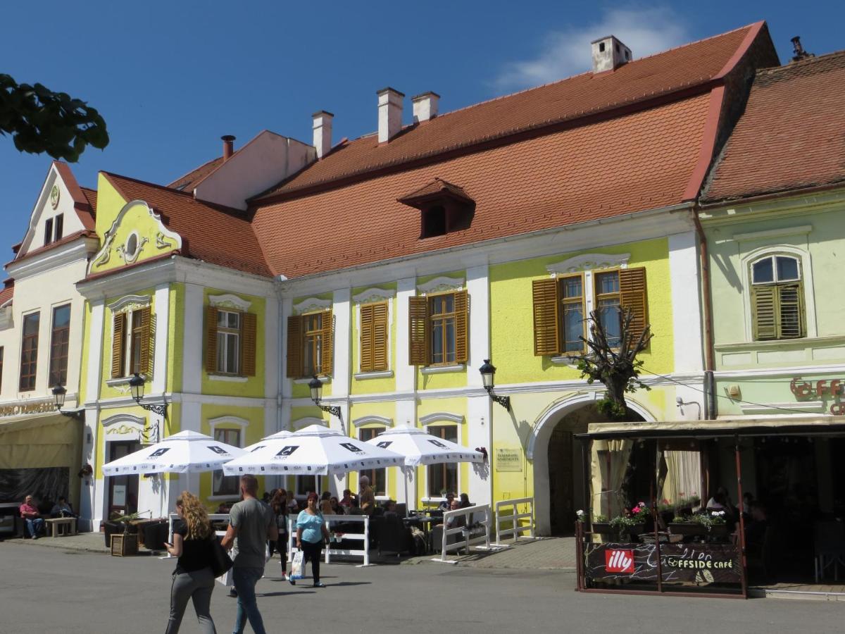 Ferdinand Apartments - Chambres d’hôtes Mediaş