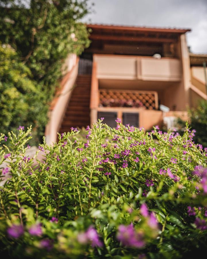 Purple House, 30m to beach - B&B