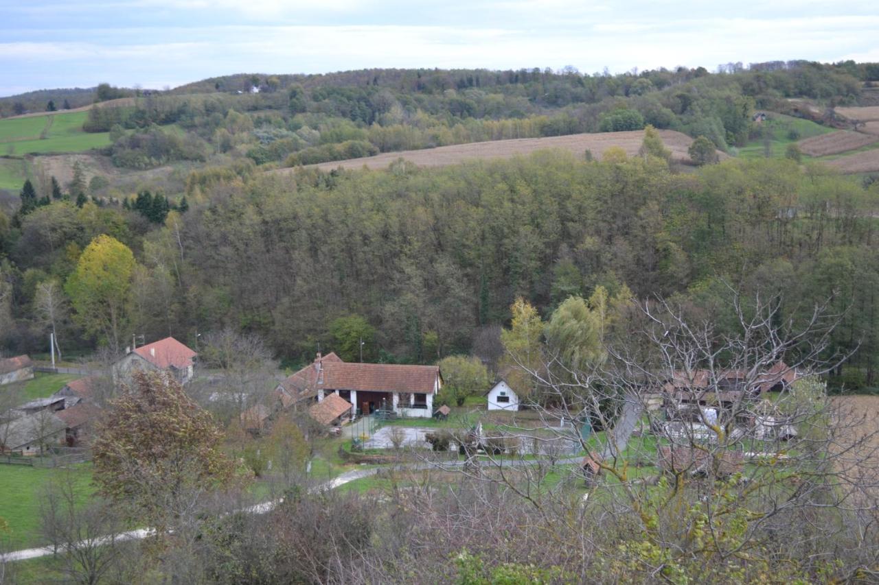 Guest House Sunčano Selo - B&B