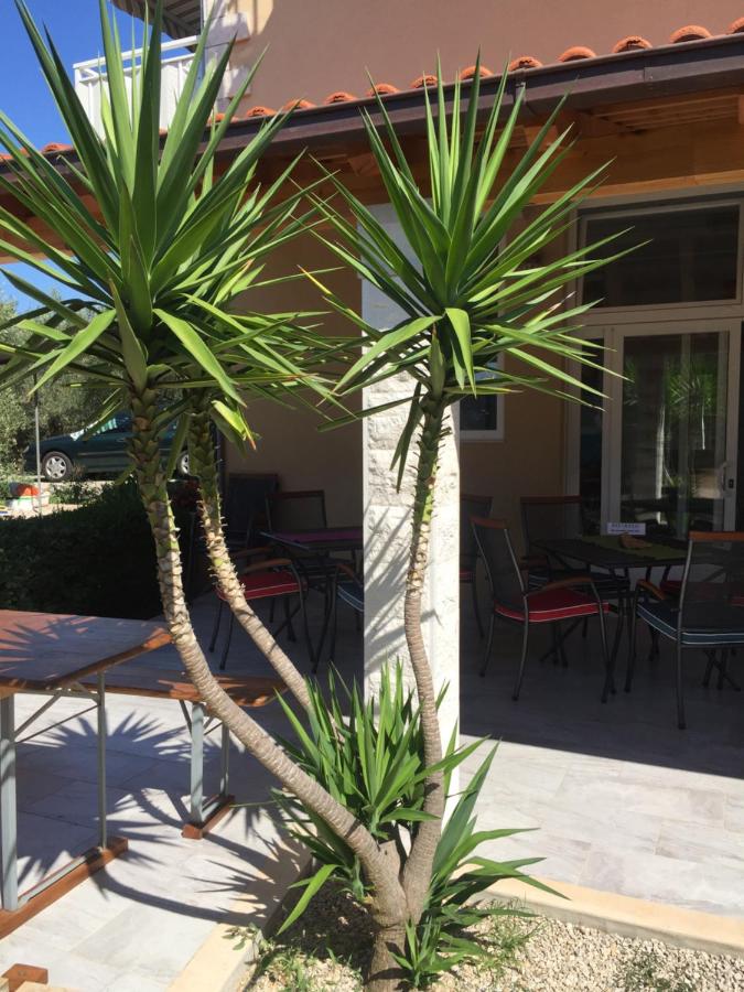 Villa Laguna - Ferienwohnung