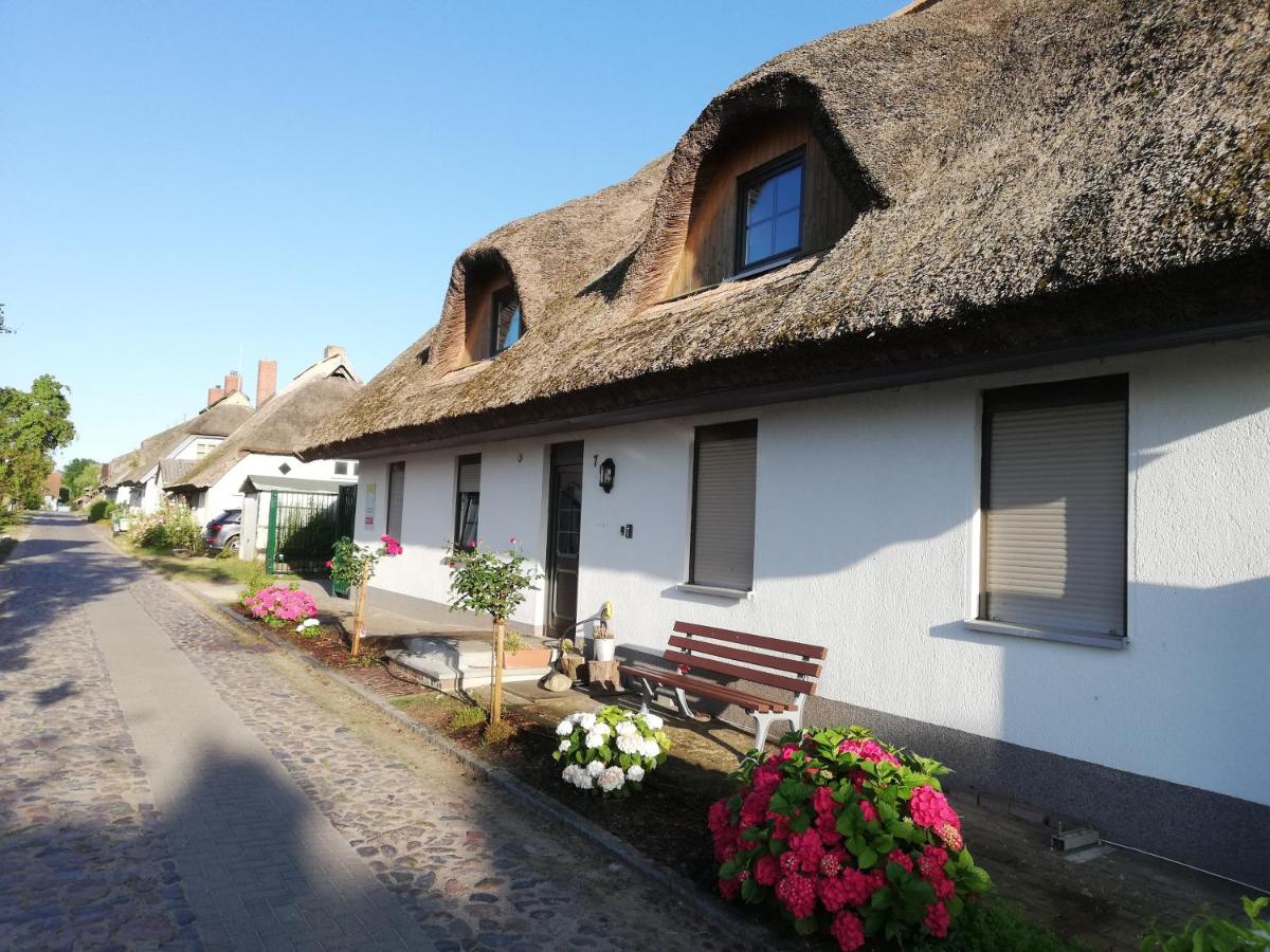 B&B Lancken-Granitz - Haus - Meeresbrise - Bed and Breakfast Lancken-Granitz