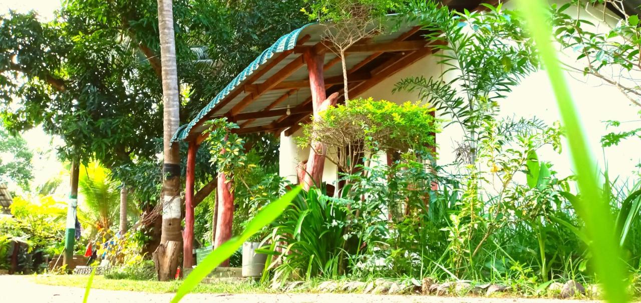 B&B Sigiriya - Sigiri Picaso Home Stay - Bed and Breakfast Sigiriya