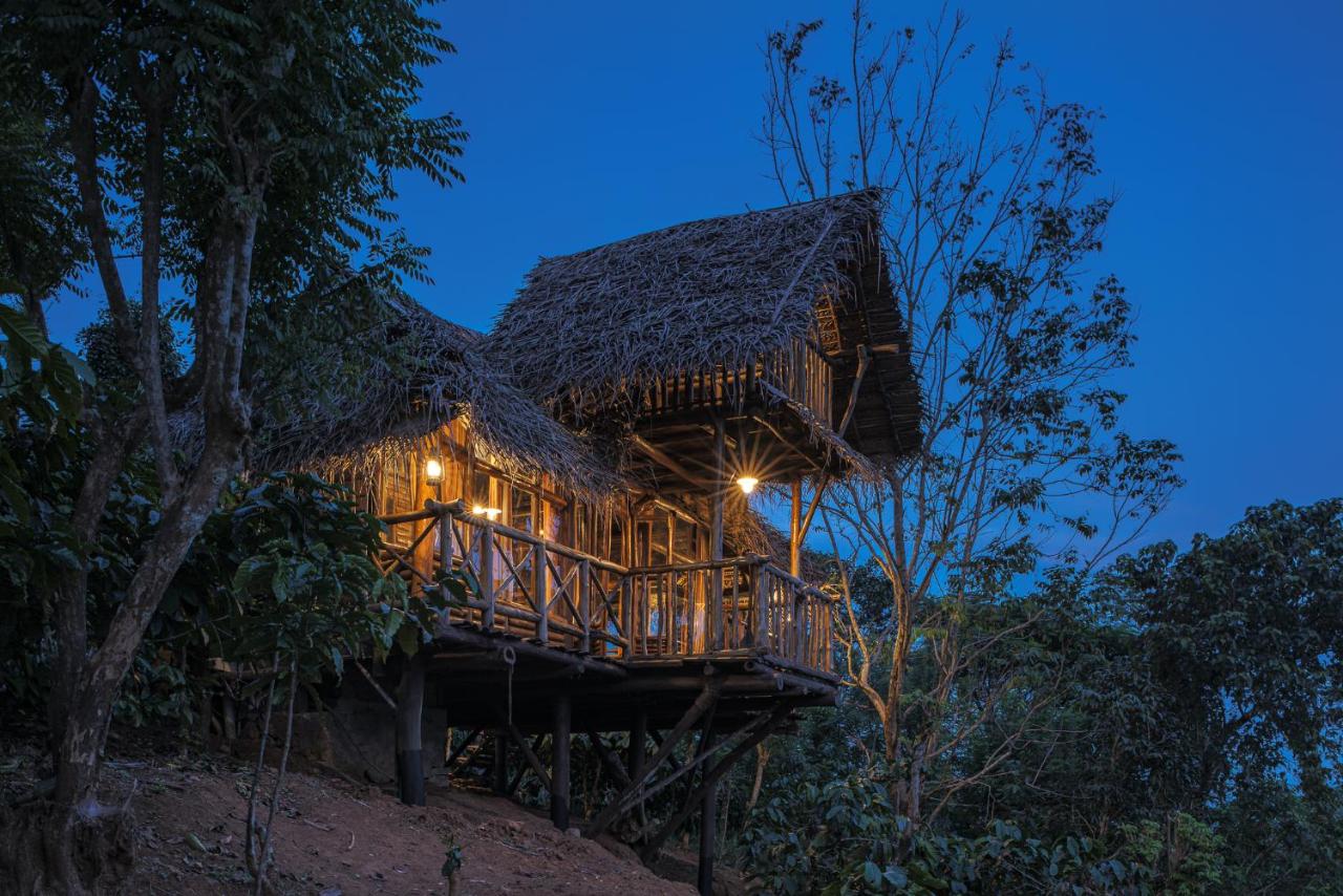 HornBill Treehut