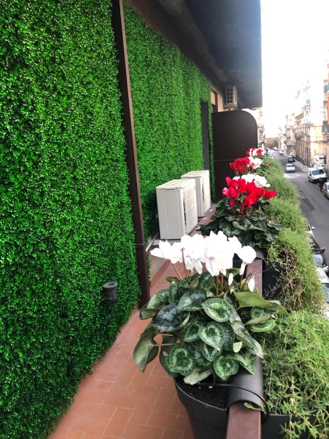 Sicily 4 Suite - B&B Catania