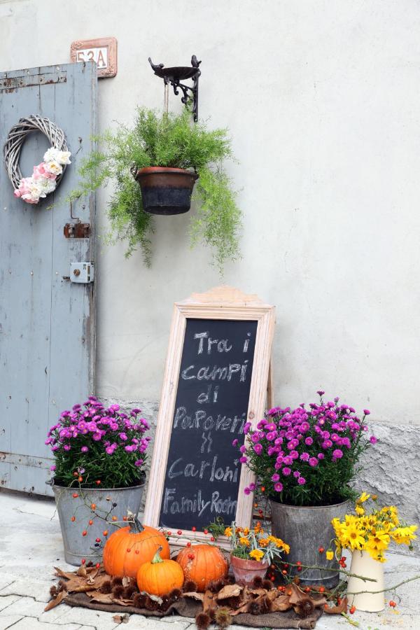 Tra i Campi Di Papaveri - Bed and Breakfast