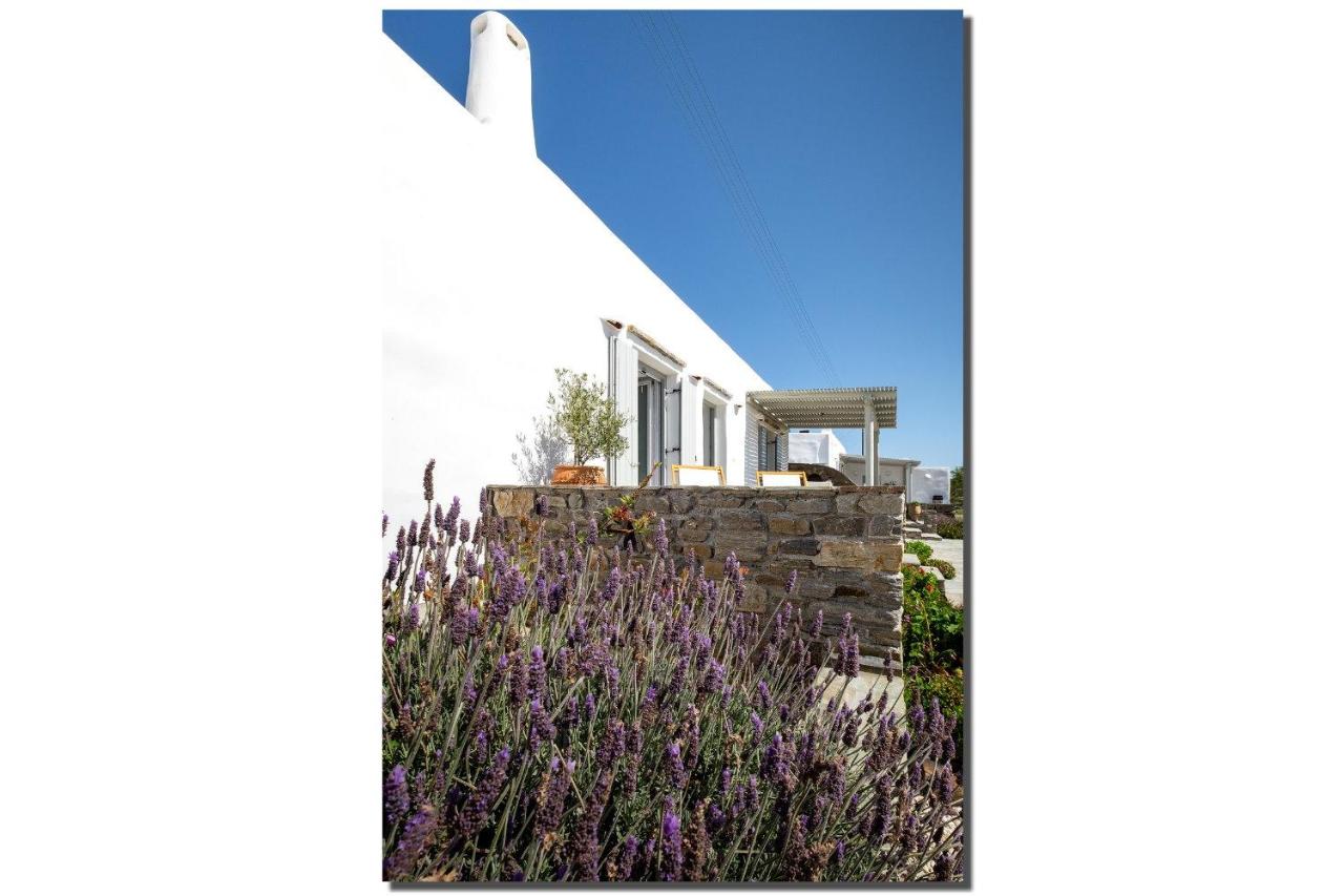 Exochi Traditional Houses - B&B
