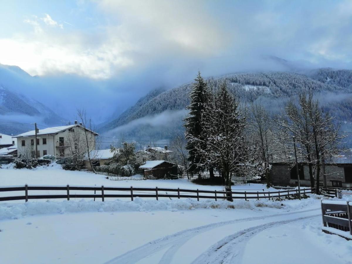 B&B Temu - Appartamento Pian di Neve - Bed and Breakfast Temu