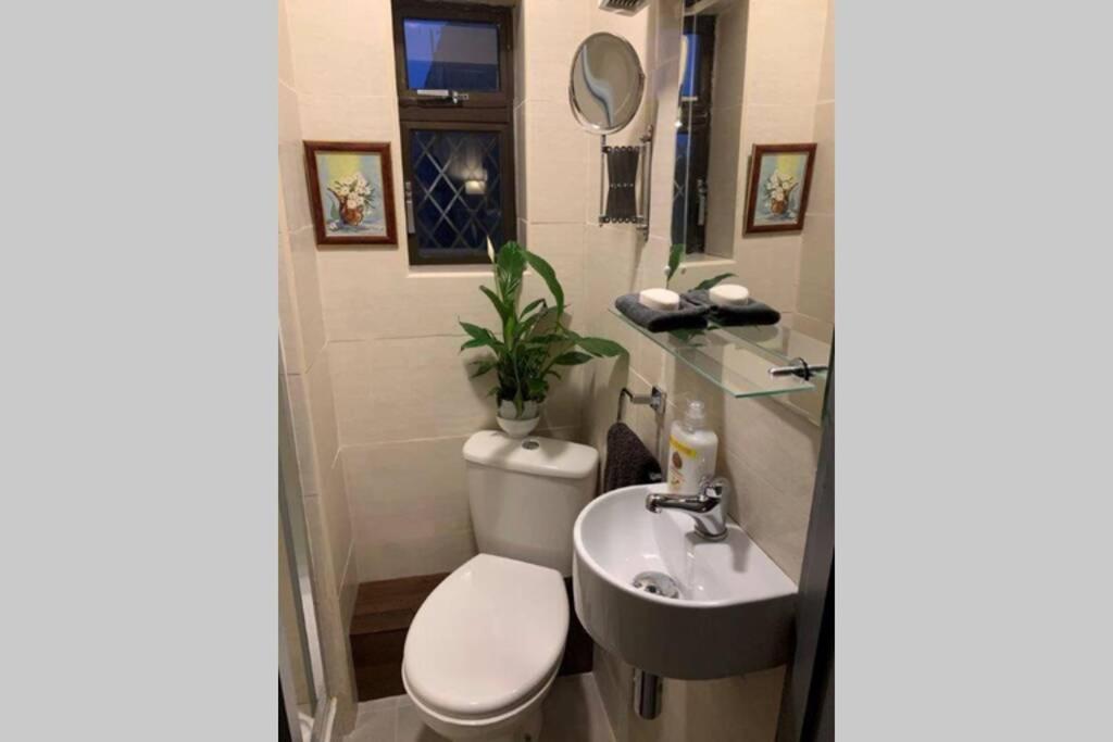 Upstairs Studio - Private kitchenette and Small en-suite - Bed and Breakfast