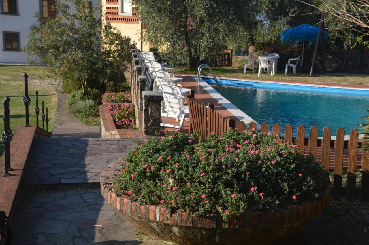 Nido d'Aquila - B&B Collodi