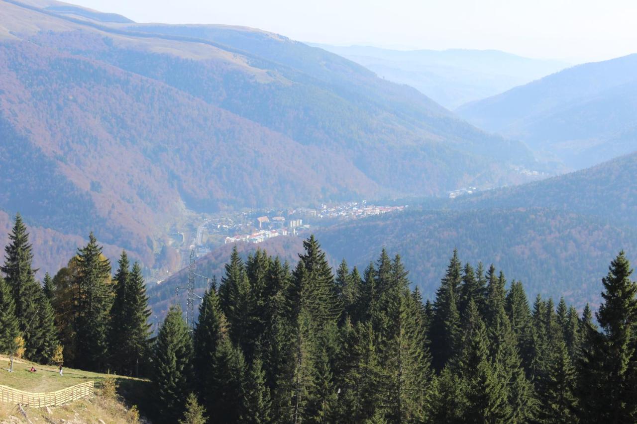 Sinaia Relax Residence - B&B