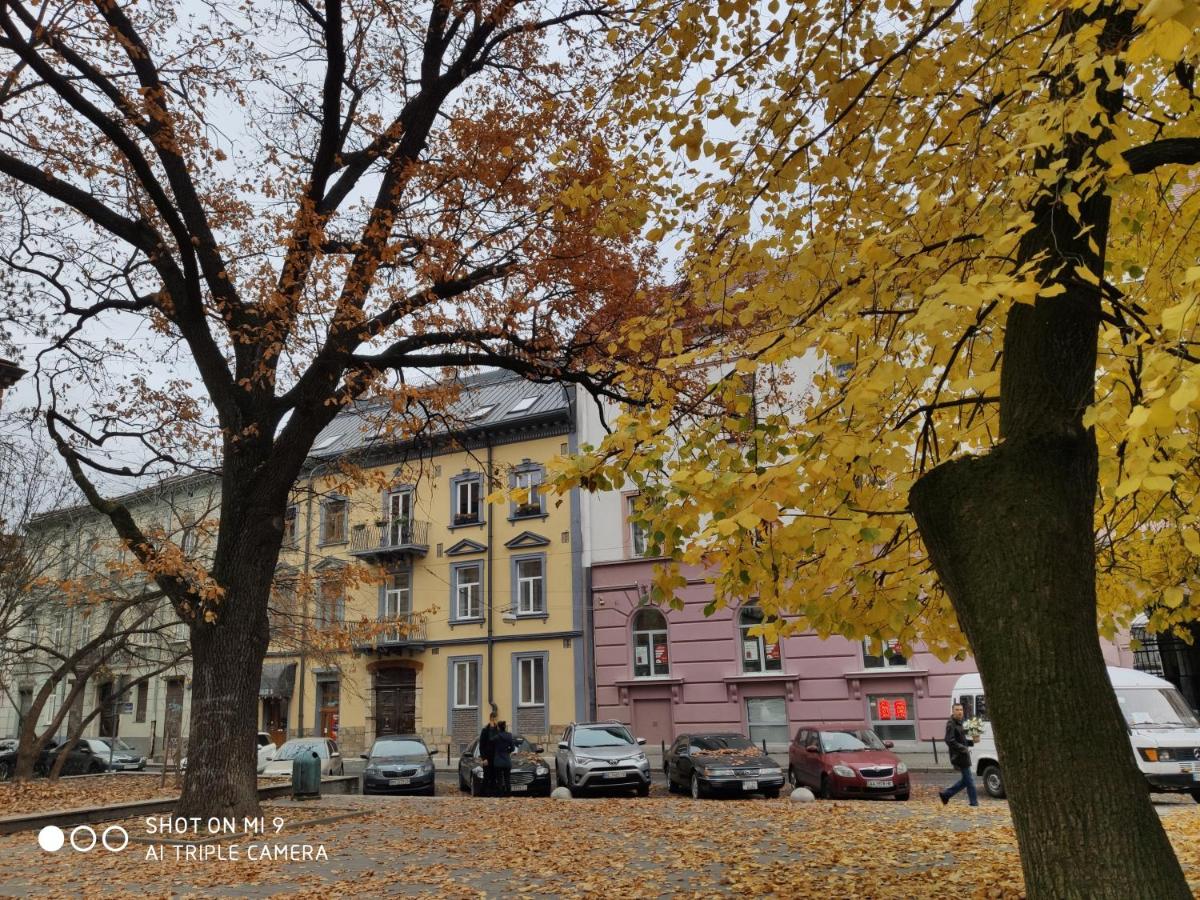 Studio Apartment on Chaykovskogo street 15