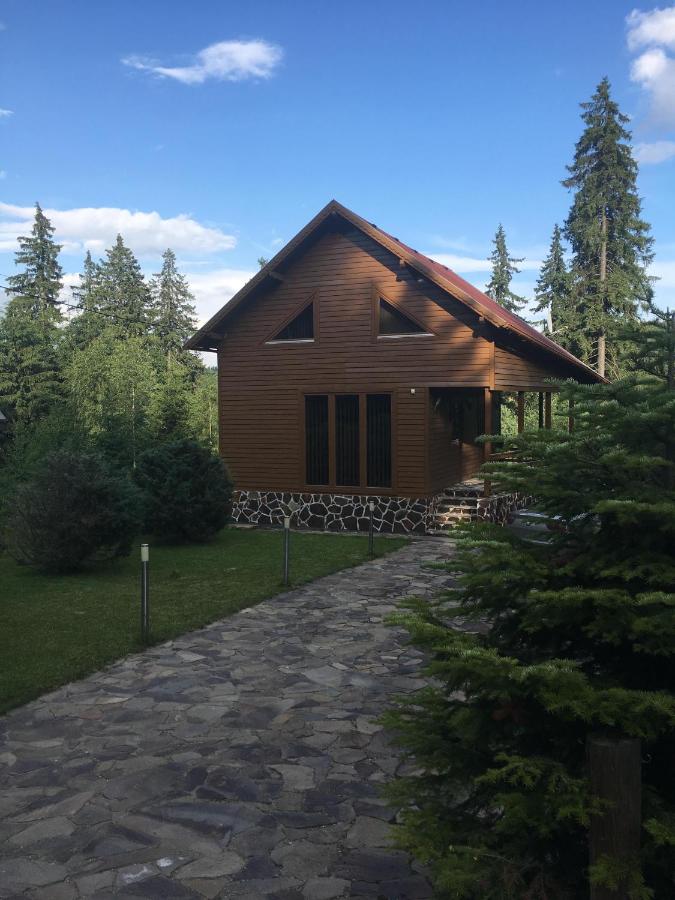 László apartman - Ferienwohnung