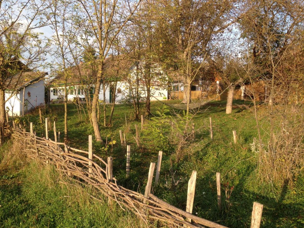Erdősmecskei sváb vendégházak és Jurtaszállás - Chambres d’hôtes