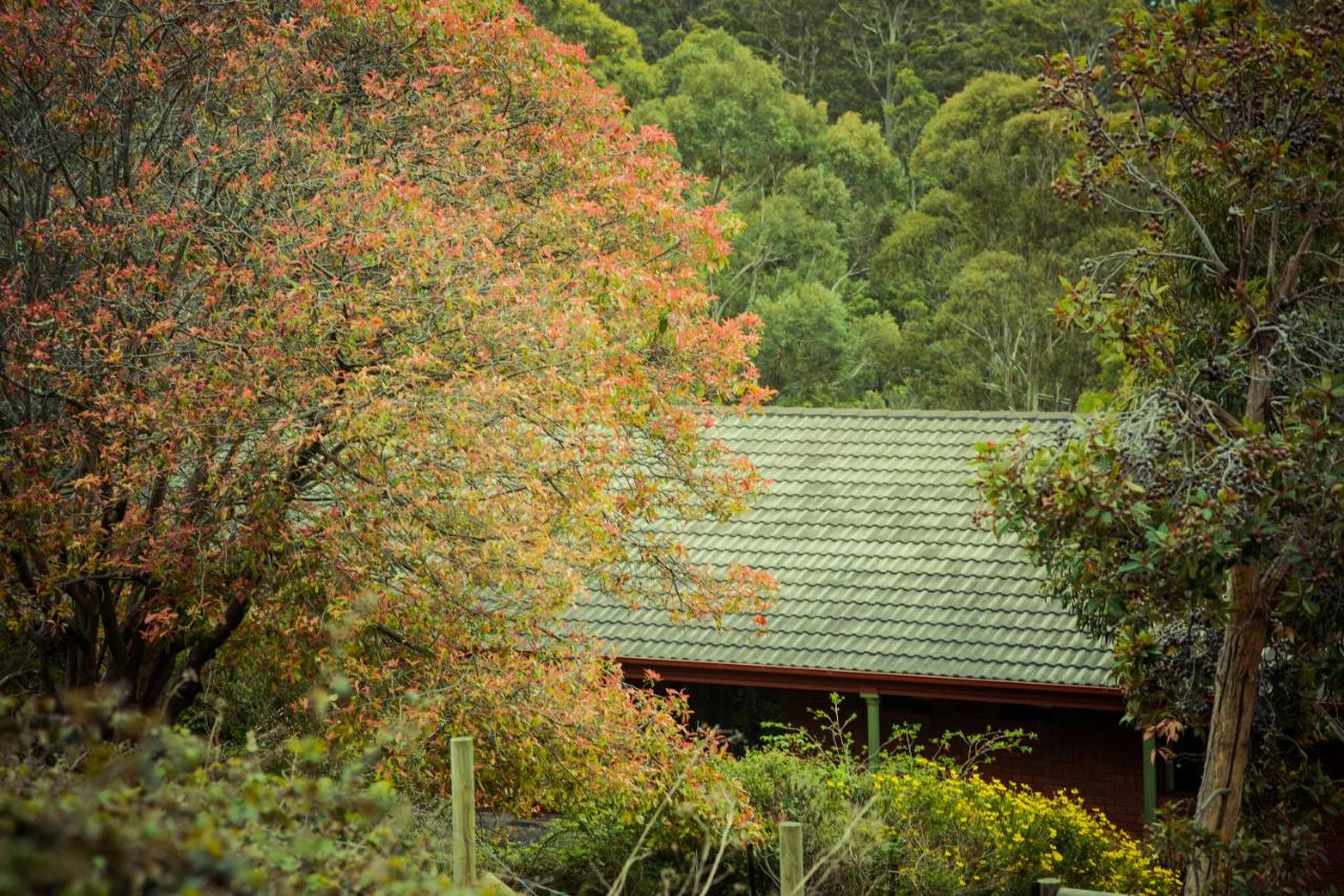 The Hobart Entrance - B&B Hobart