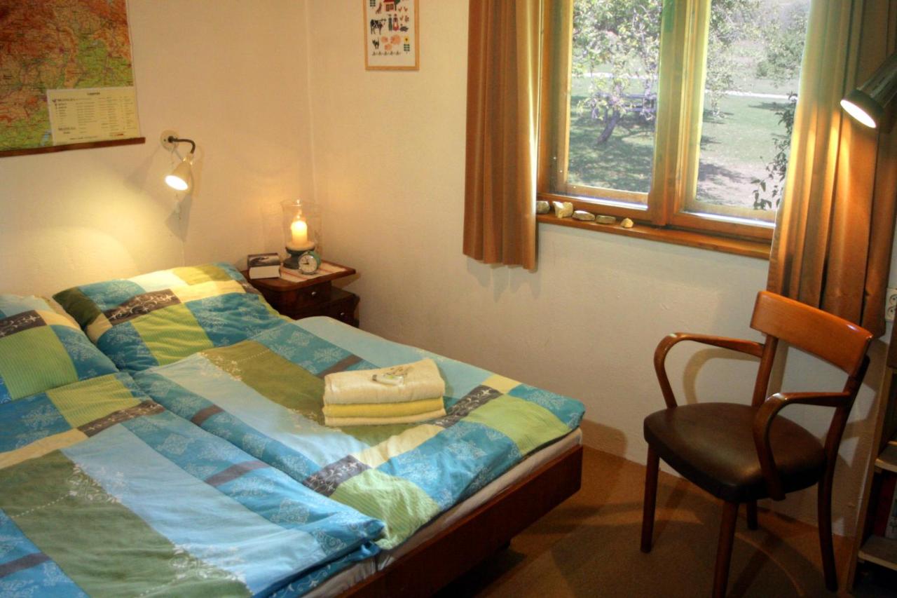 Apartment mit Gartenblick