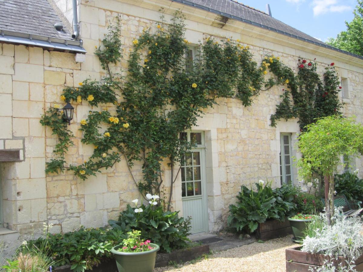 La Cotinière - B&B Grézillé