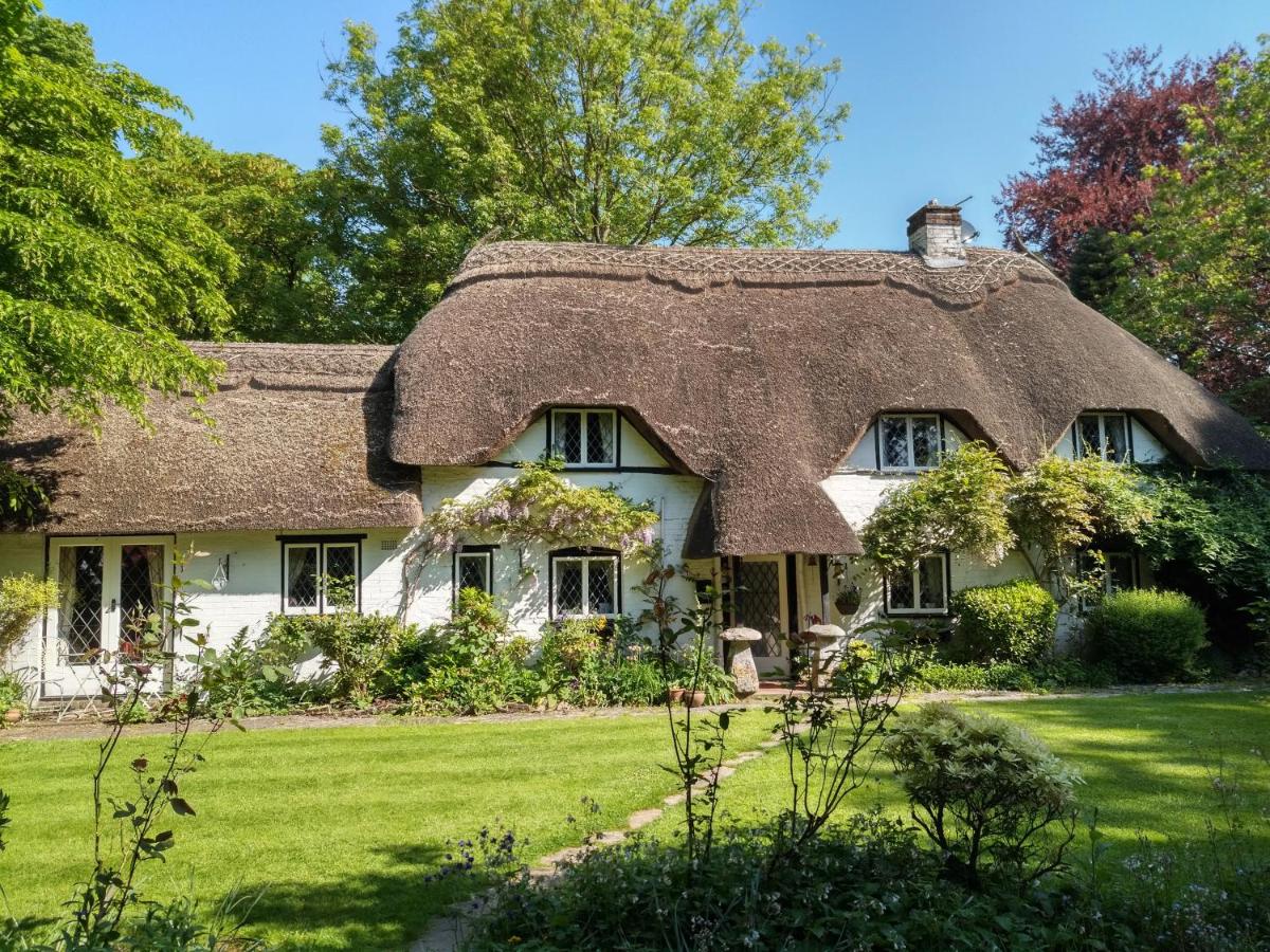 B&B Ibsley - Thatched Eaves - Bed and Breakfast Ibsley