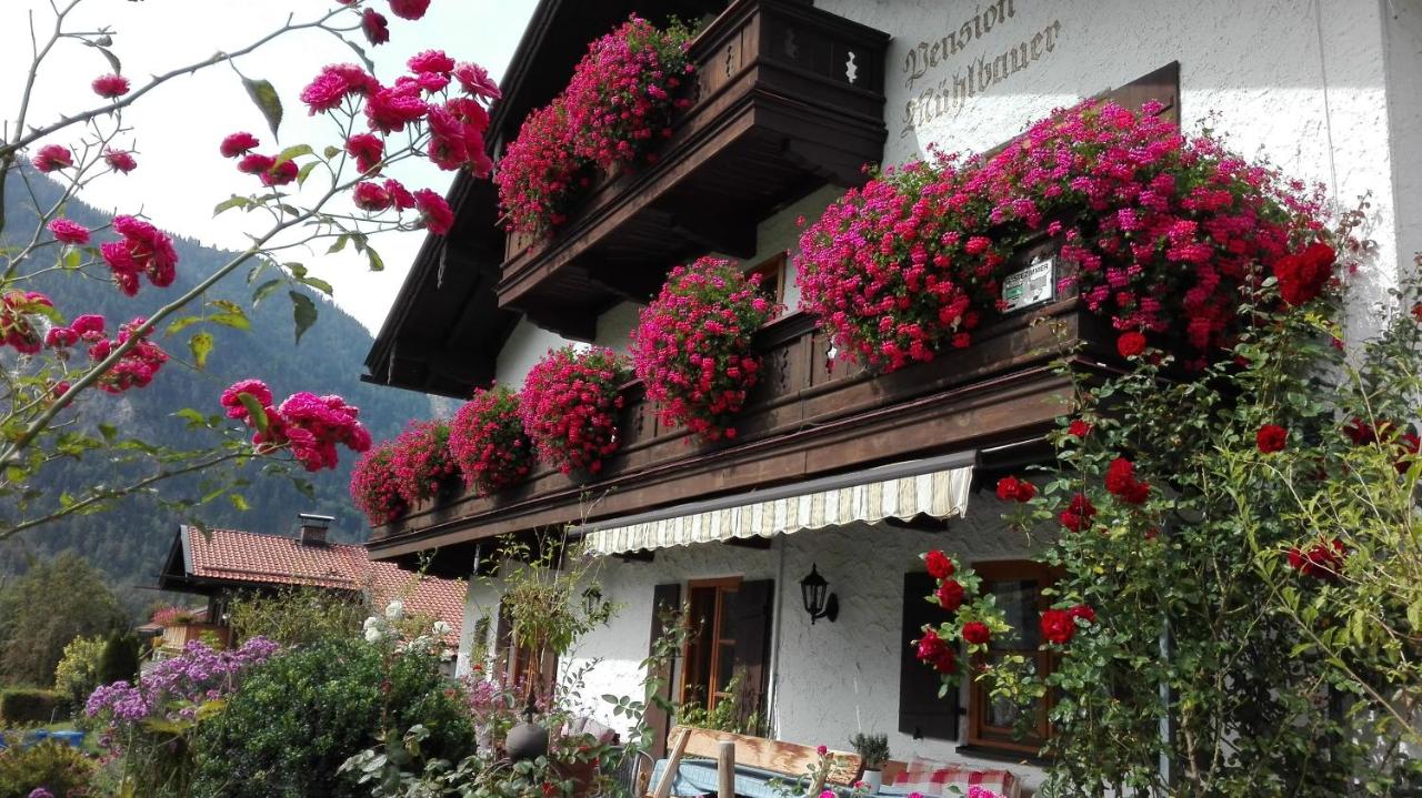 Pension Mühlbauer - B&B