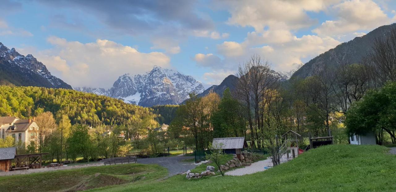 Apartma Kurji vrh - Chicken top - B&B