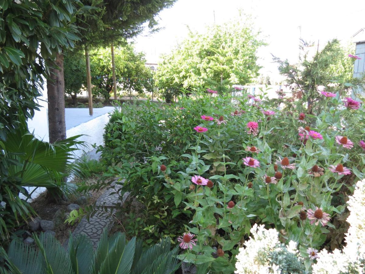 Leventis Apartments - B&B