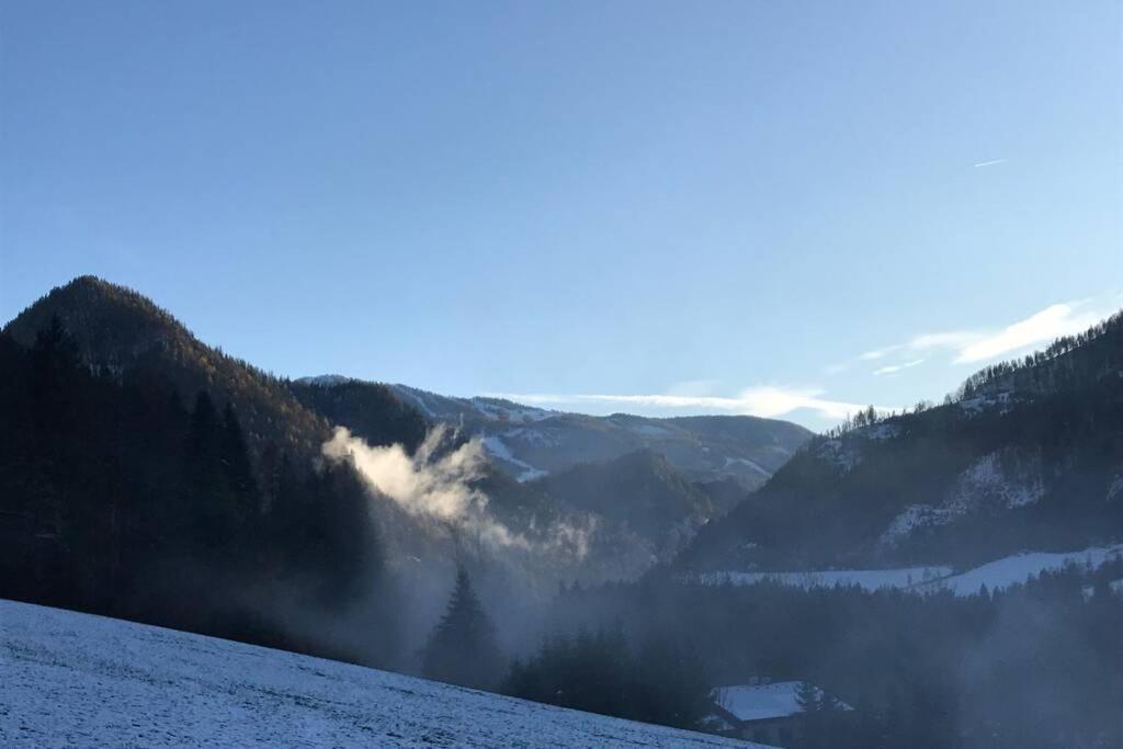 Bergchalet Hinterstoder - Bed and Breakfast