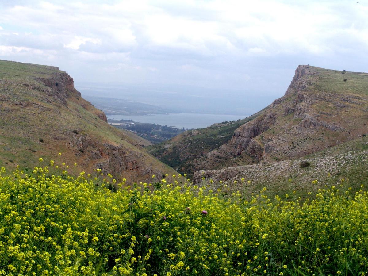 Arbel Holiday Homes - B&B Arbel