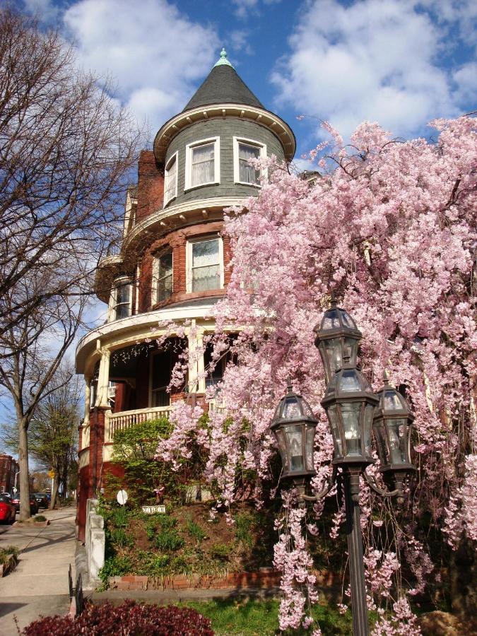 Wilson House Bed & Breakfast - B&B
