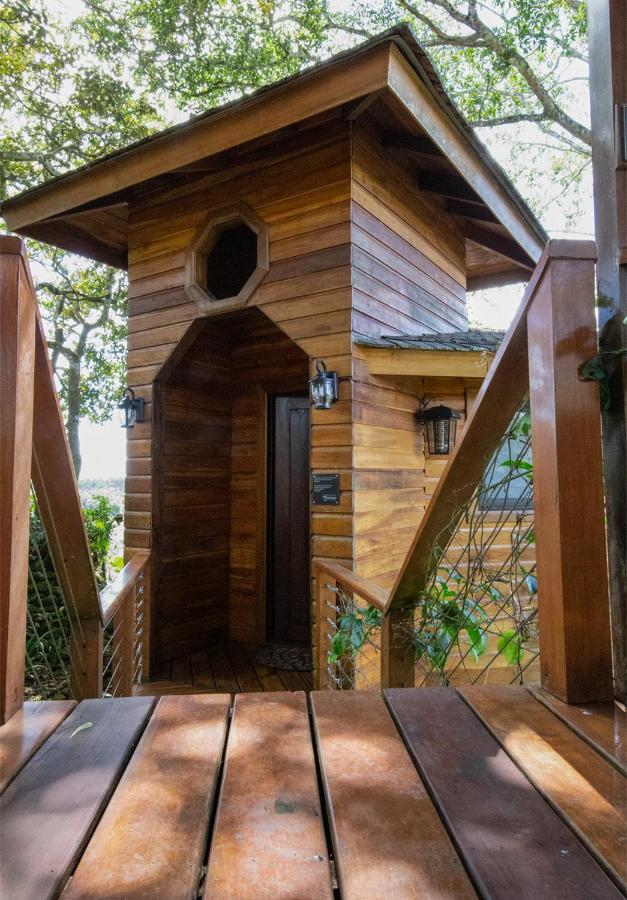Chalet (2 adultos + 2 niños) - Casa en el árbol 1
