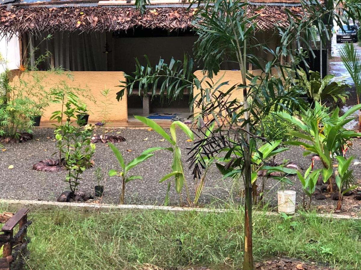 Unawatuna Backpacker Lodge - B&B