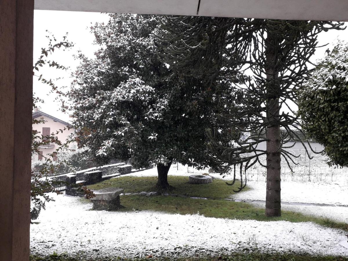 Appartamento con Vista Giardino