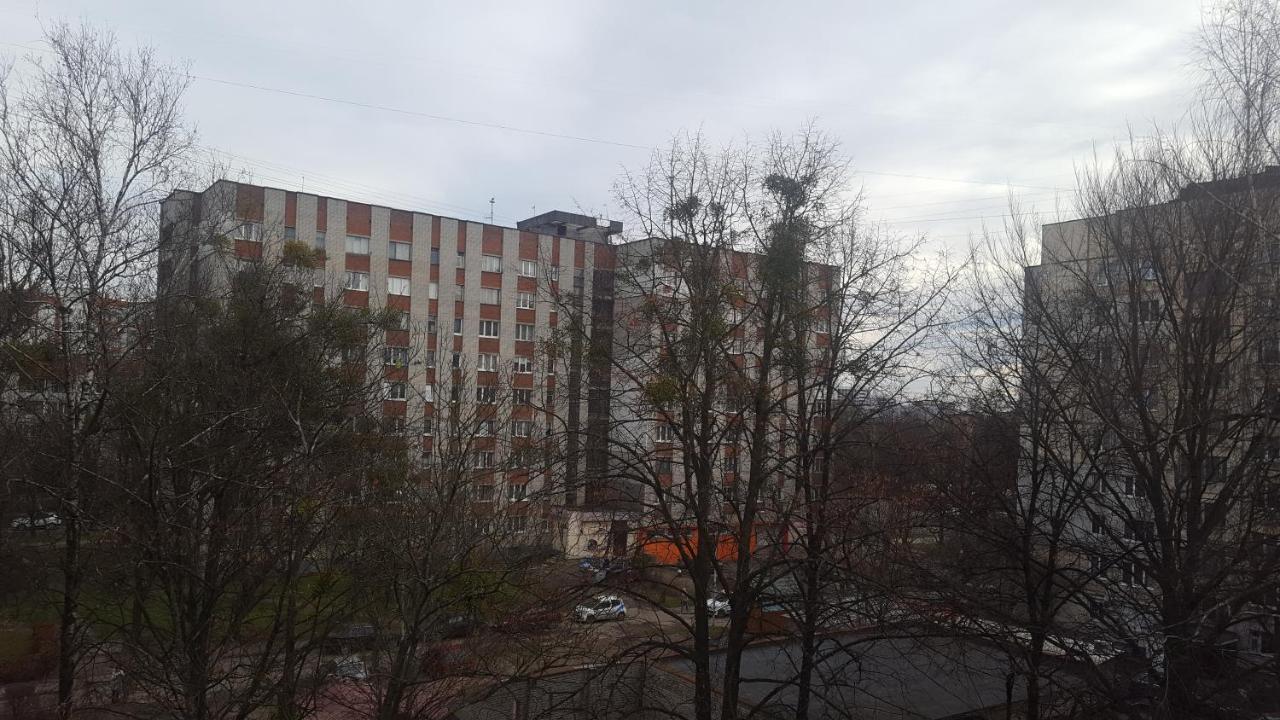 Best Apartment Naukova - B&B