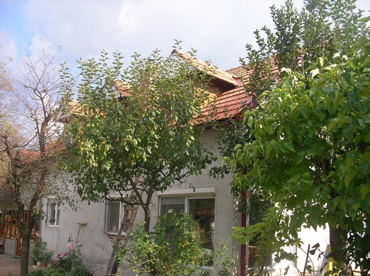 REB/MAR RomSpa - B&B
