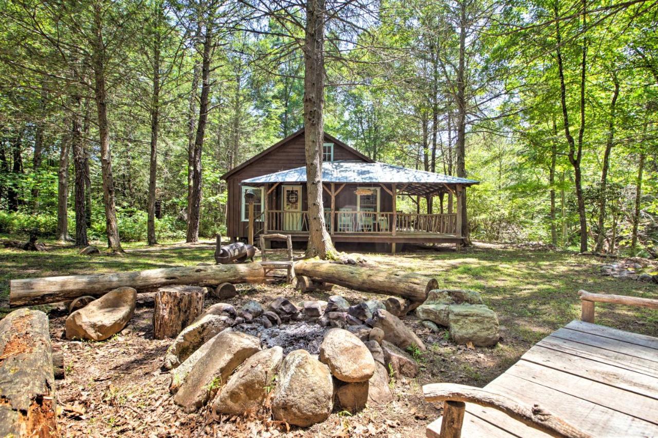 Clearwater Cabin on 10 Acres with Trout Stream! - B&B
