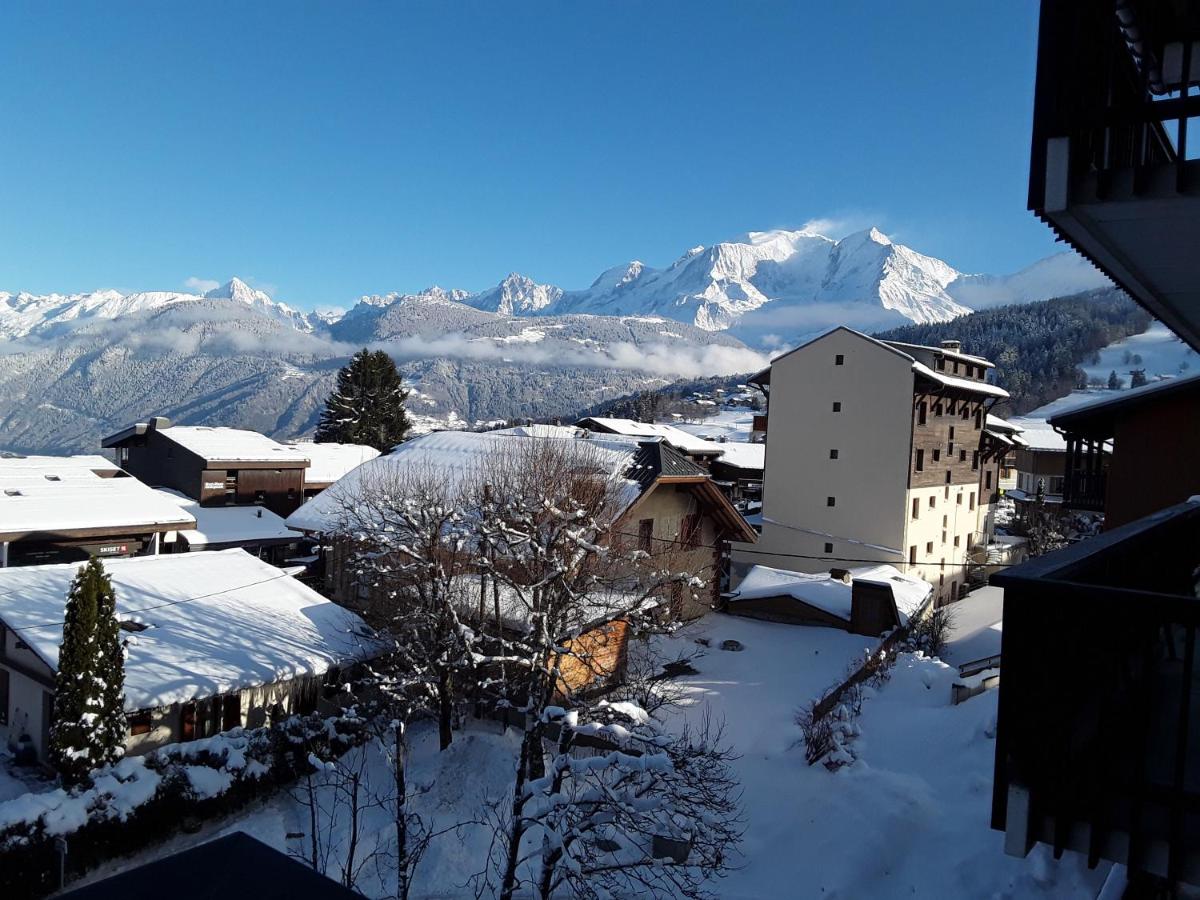 Vue Mont Blanc et toute la chaîne - B&B