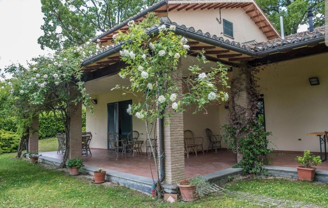 Agriturismo Tognoloni - Chambres d’hôtes
