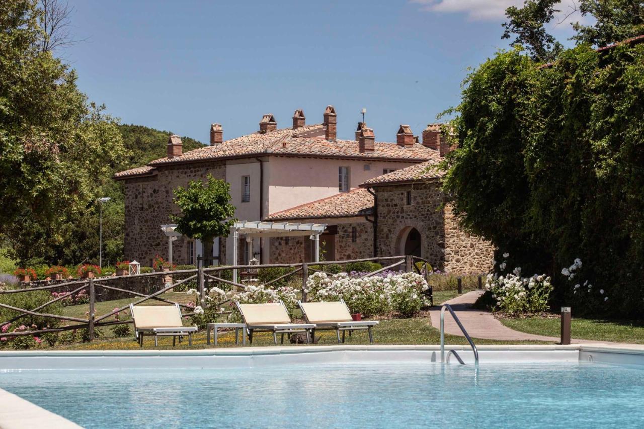 B&B Montalcino - Podere Brizio - Bed and Breakfast Montalcino