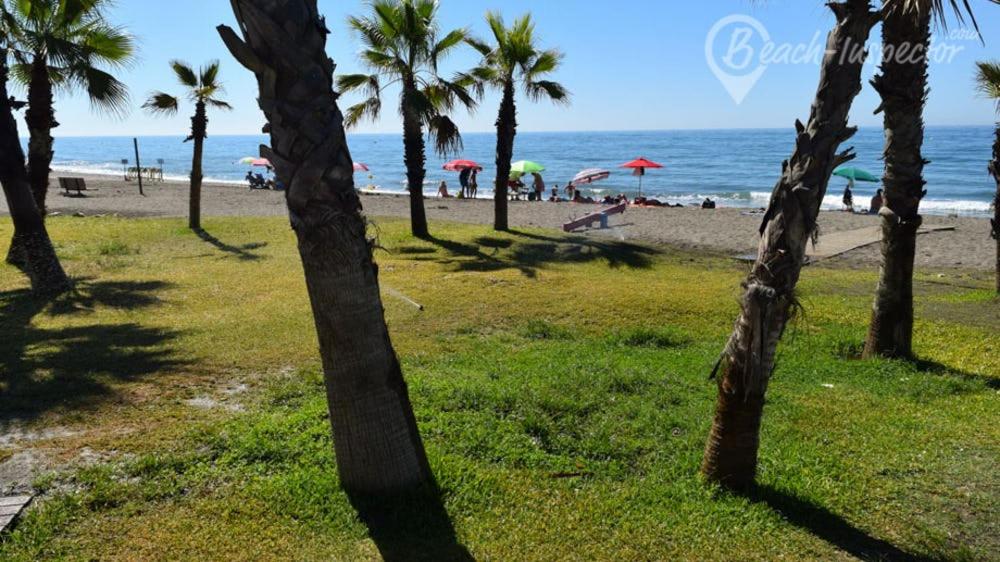 Apartamento 60 m2 en la playa - B&B