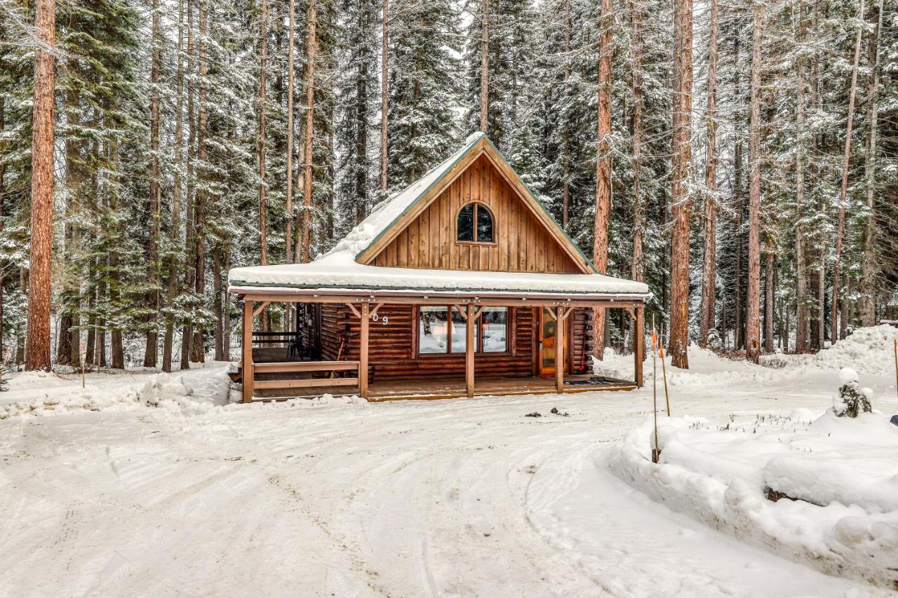 Forest Cabin - B&B